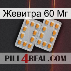 Жевитра 60 Мг cialis4